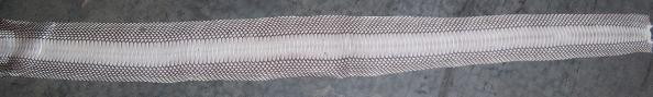 LOT OF 50 COBRA SNAKE SKINS